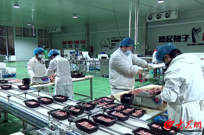 文化活动策划的魅力:一场城市的精彩盛宴